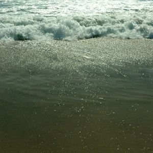 Meet your Posher, Cortney